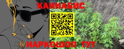 шишки Донской