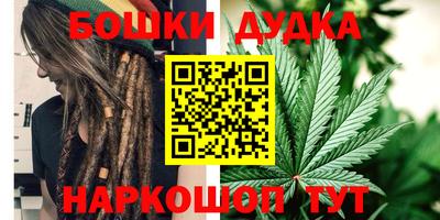 Альфа ПВП Дубна