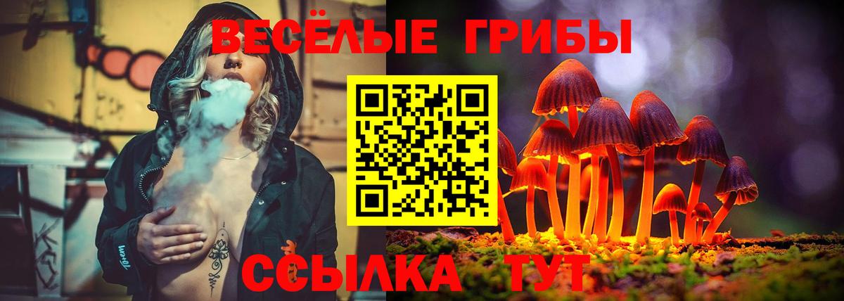 Псилоцибиновые грибы Cubensis  Вход с VPN  Лесной 